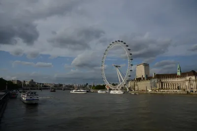 DSC_2815 (Large).JPG